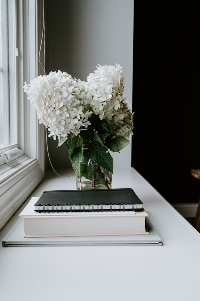 Graphic illustration of a plant and notebook next to an office window.